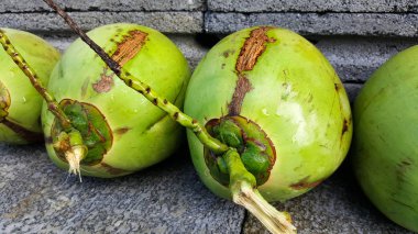 besin, sağlık yararları, diyet FIB genç yeşil Hindistan cevizi