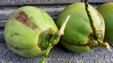 besin, sağlık yararları, diyet FIB genç yeşil Hindistan cevizi