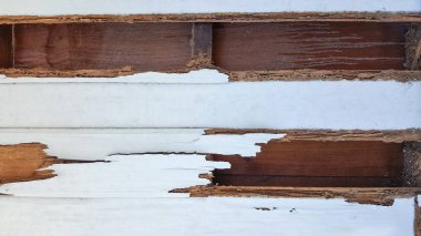 termit duvar hasar doku arka plan