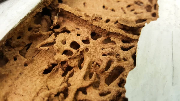 termit duvar hasar doku arka plan