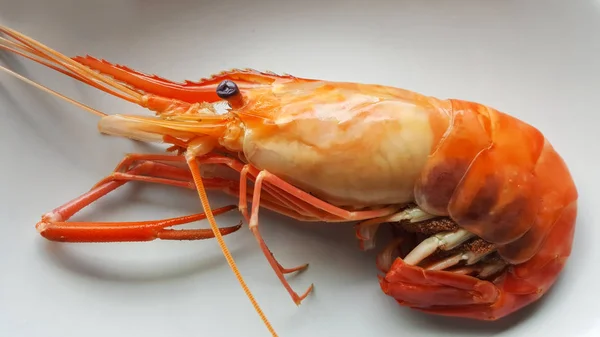 Alimentos de camarones de río aislados en el fondo —  Fotos de Stock