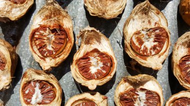 Yakın plan kurutulmuş fındık, betel fındığı, Tayland
