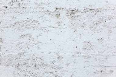 Doku ve arka plan. Eski, yıkık beton duvar. Onarım ve inşaat