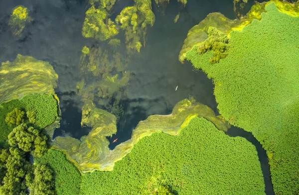 Aerial view of kayaks in the still watwers of the delta — Stock Photo, Image