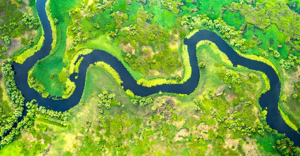 Aerial view of meander in the delta — Stok fotoğraf