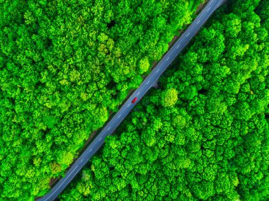 Yazın, içinden yol geçen sık yeşil ormanın havadan görünüşü.