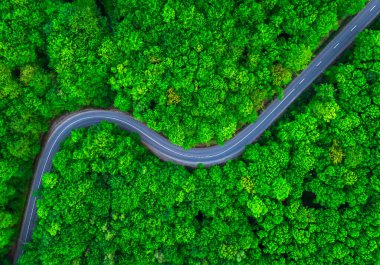 Yazın, içinden yol geçen sık yeşil ormanın havadan görünüşü.