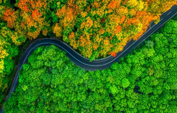 Route sinueuse divisant la forêt épaisse en deux saisons. Automne et été, vue aérienne Images De Stock Libres De Droits