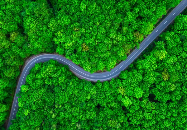 Vue aérienne de la forêt verte épaisse en été avec coupe de route à travers elle Photo De Stock