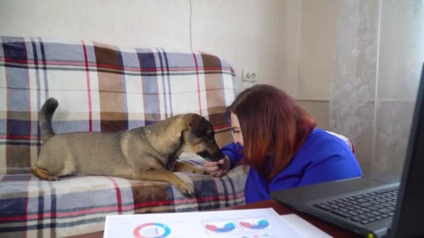 白人妇女在家里的电脑前工作 与她的狗玩耍 待在家里 在检疫期间在家工作 — 图库视频影像