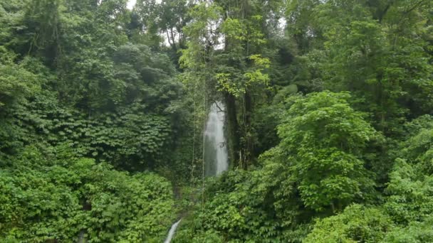Malý vodopád v zeleném tropickém listí v deštivém dni na Bali — Stock video