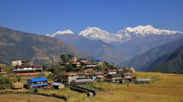 Village Sikle and snow capped Manaslu — Stock Photo, Image