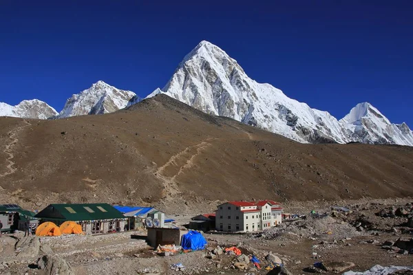 Gorak-Schafe, Kala Patthar und Mount Pumori — Stockfoto