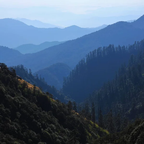 Mountain ranges covered by forest — Stock Photo, Image