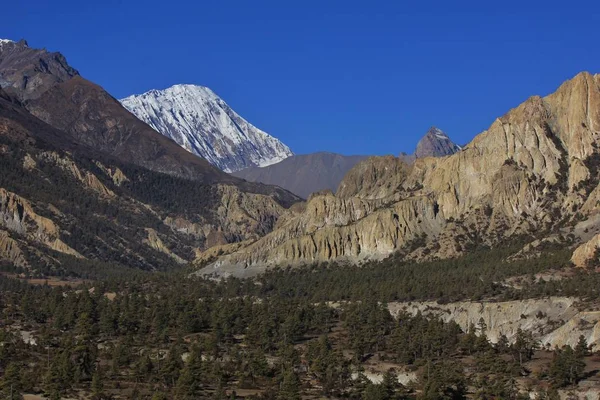 Forest, limestone cliffs and Tilicho Peak — Stock Photo, Image
