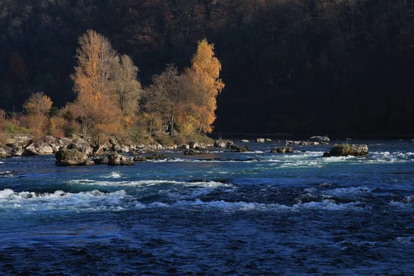 Escena de otoño en el río Rin en Schaffhausen —  Fotos de Stock