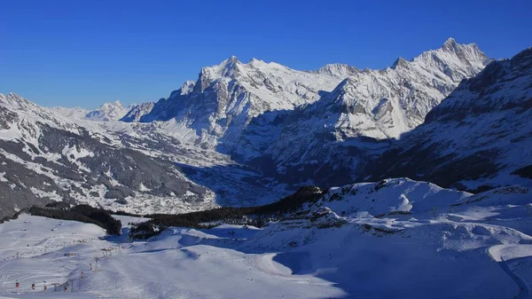 Grindelwald in winter and ski slopes — Stock Photo, Image