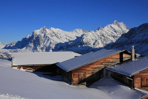 Winterlandschaft im Grindelwald, Schweizer Alpen — Stockfoto