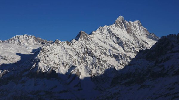 Mount Finsteraarhorn in winter