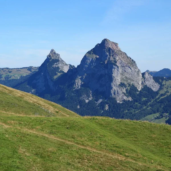 Groene weide en mount Mythen, Zwitserse Alpen — Stockfoto