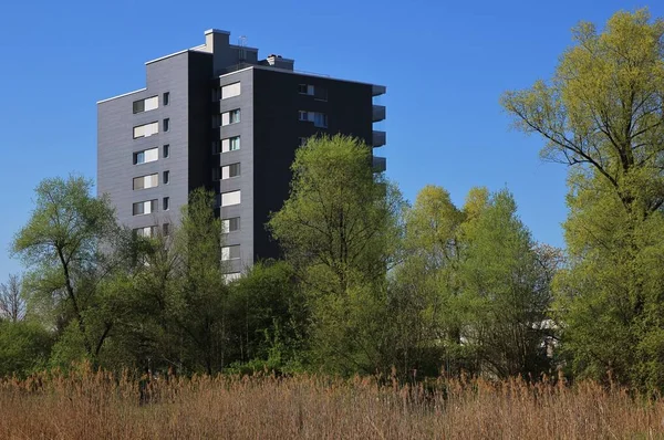 Bomen Een Residental Fenikshal — Stockfoto