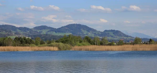 Orilla del lago Pfaffikon — Foto de Stock