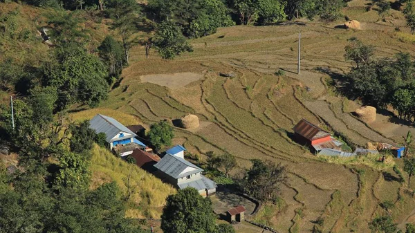 Rice fields and farmhouses in Nepal — Stock Photo, Image