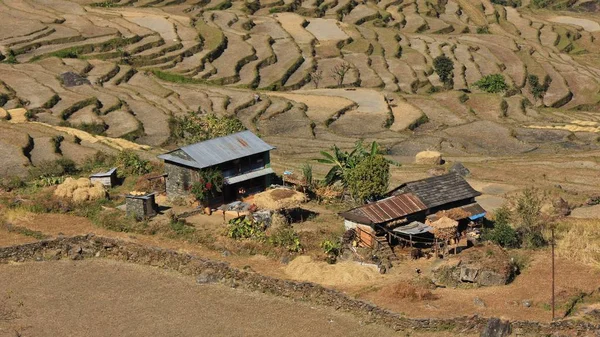 Farmhouse and rice terraces — Stock Photo, Image