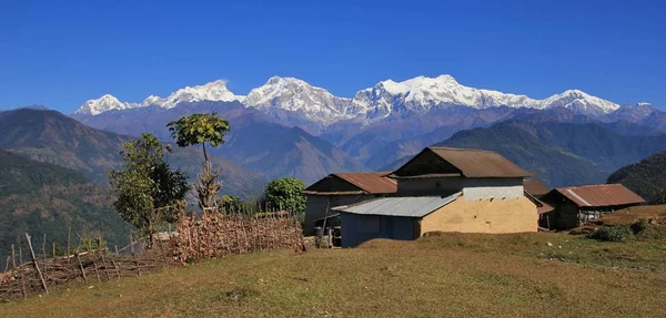 Rumah-rumah dan pohon ara di depan gunung-gunung berpuncak salju — Stok Foto