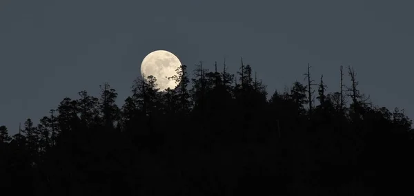 Notte di luna piena a Nepa — Foto Stock