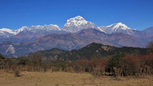 Montagna maestosa Dhaulagiri — Foto Stock