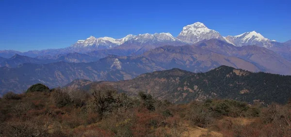 Poon Hill yakınındaki bir yerden görülen Dhaulagiri aralığı — Stok fotoğraf