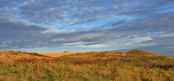 Landschap in Gottrup. Scène van de zomer. — Stockfoto