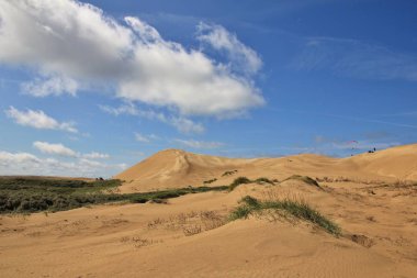 Danimarka kum tepeleri. Rubjerg Knude, west coast.