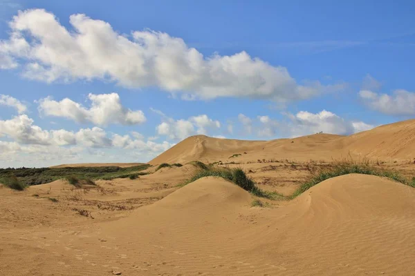 Zandduinen in Denemarken. Rubjerg Knude, westkust. — Stockfoto