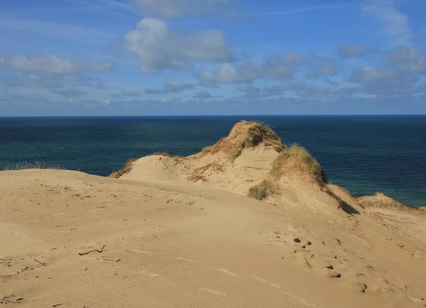 Kum tepeciği Rubjerg Knude ve Vesterhavet.