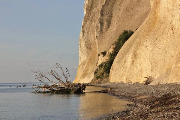 Olay yerinde Moens Klint, Danimarka. 