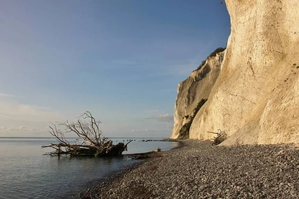 Sabah olay yerinde Moens Klint, Danimarka.
