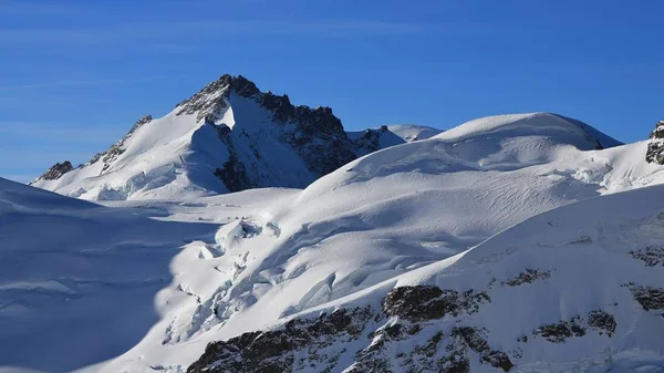 Glacier and mount Gletscherhorn seen from Jungfraujoch, Switzerl — Stock Photo, Image