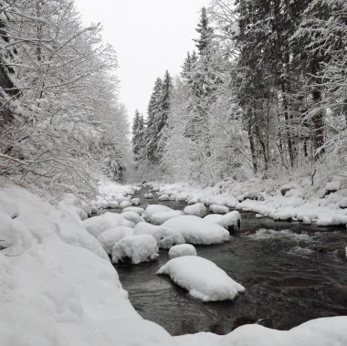 Gstaad yakınındaki kış sahne. Nehir Saane.