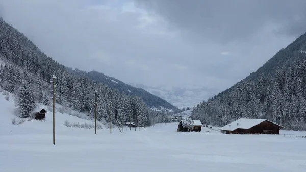 Scena invernale nella valle del Saanenland, Svizzera . — Foto Stock