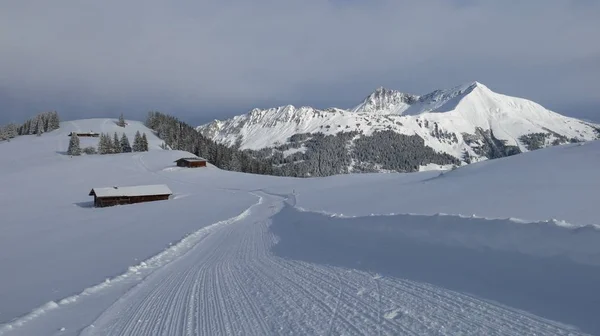 Uitzicht vanaf de Hohe Wispile, Gstaad. Zonovergoten mount Lauenenhorn. Winter — Stockfoto