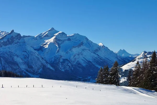 Montaje cubierto de nieve Oldenhorn. Escena de invierno cerca de Gstaad, Suiza —  Fotos de Stock
