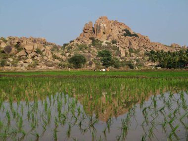 Hampi, Hindistan'da pirinç alan ve granit dağ. Popüler bir yer f