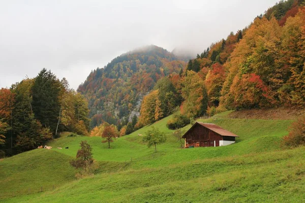 Brienz, Bernese Oberland yakınındaki kırsal sonbahar sahne. — Stok fotoğraf