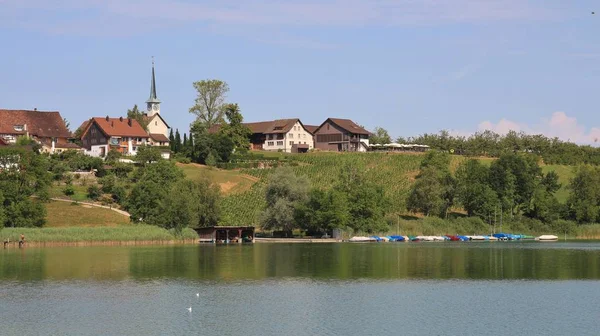 Zomerdag bij lake Pfaeffikon. — Stockfoto