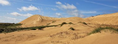 Rubjerg Knude, Jylland, Danimarka 'da eşsiz kum tepeciği.