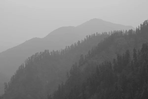День тумана в горах недалеко от Похары, Непал. Лес. Вид из Иша — стоковое фото