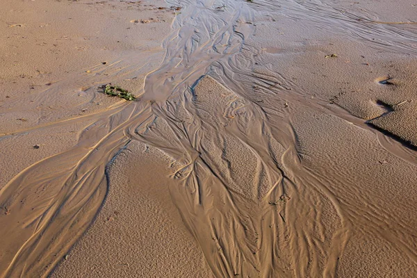 Dettaglio Della Spiaggia Sabbia Vita Sannar Svezia — Foto Stock