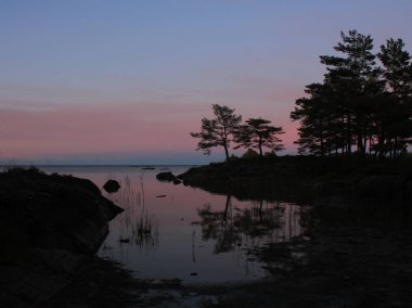 İsveç 'in Vita Sannar şehrinde ağaçların ana hatları ve pembe akşam gökyüzü.